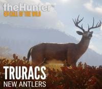 โหลดเกม THEHUNTER CALL OF THE WILD 2019 EDITION - TRURACS (ALL DLCS)