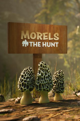 โหลดเกม Morels: The Hunt 11