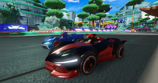โหลดเกม Team Sonic Racing™